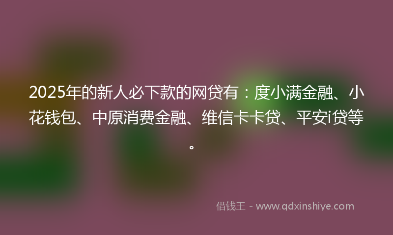 2025年的新人必下款的网贷有：度小满金融、小花钱包、中原消费金融、维信卡卡贷、平安i贷等。