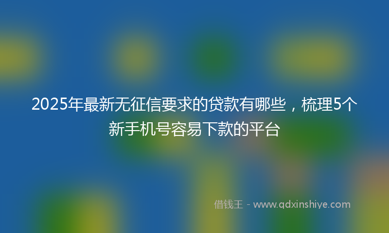 2025年最新无征信要求的贷款有哪些，梳理5个新手机号容易下款的平台