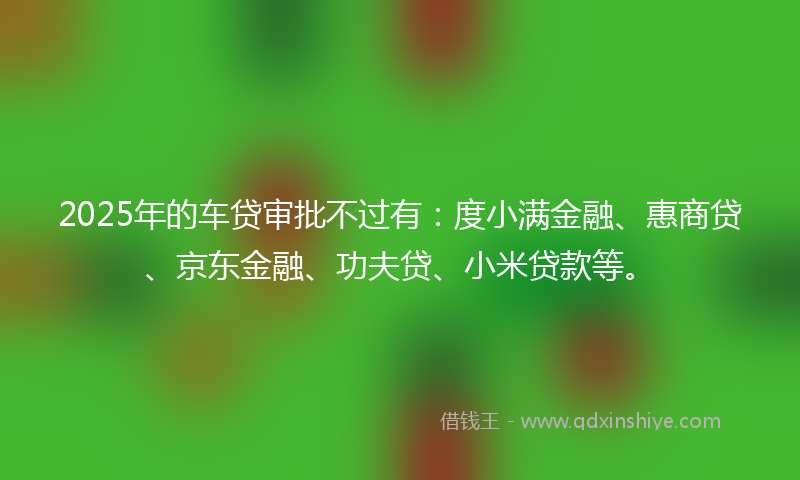 2025年的车贷审批不过有：度小满金融、惠商贷、京东金融、功夫贷、小米贷款等。