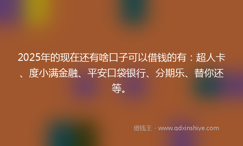2025年的现在还有啥口子可以借钱的有:超人卡、度小满金融、平安口袋银行、分期乐、替你还等。