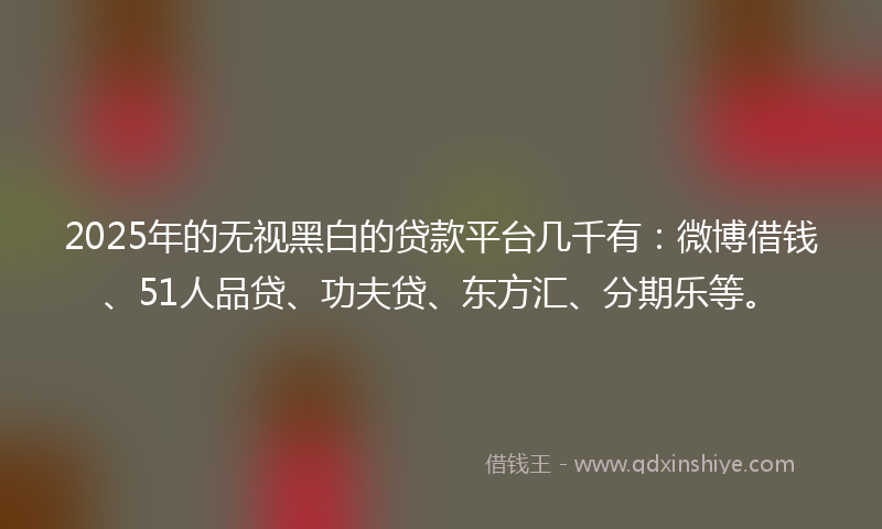 2025年的无视黑白的贷款平台几千有：微博借钱、51人品贷、功夫贷、东方汇、分期乐等。