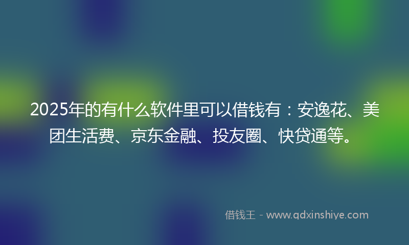 2025年的有什么软件里可以借钱有：安逸花、美团生活费、京东金融、投友圈、快贷通等。