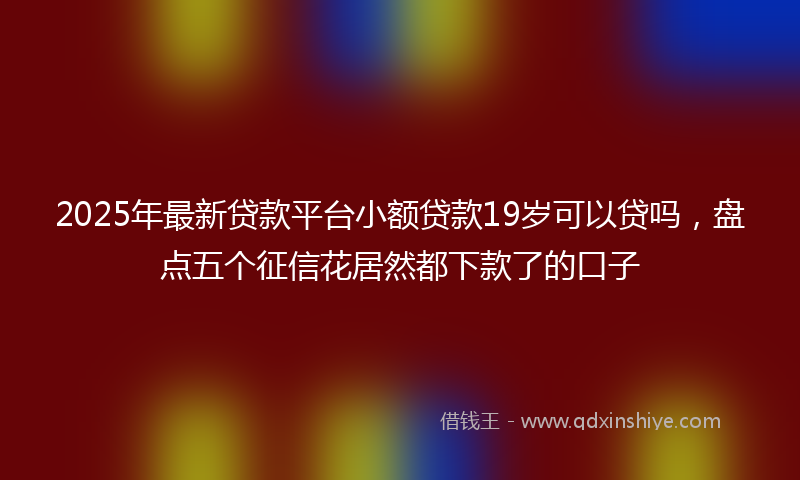 2025年最新贷款平台小额贷款19岁可以贷吗，盘点五个征信花居然都下款了的口子