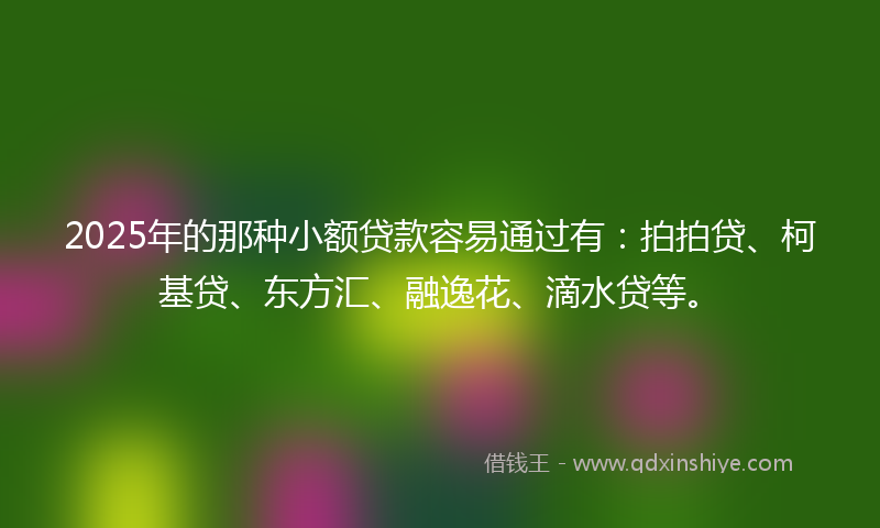 2025年的那种小额贷款容易通过有：拍拍贷、柯基贷、东方汇、融逸花、滴水贷等。