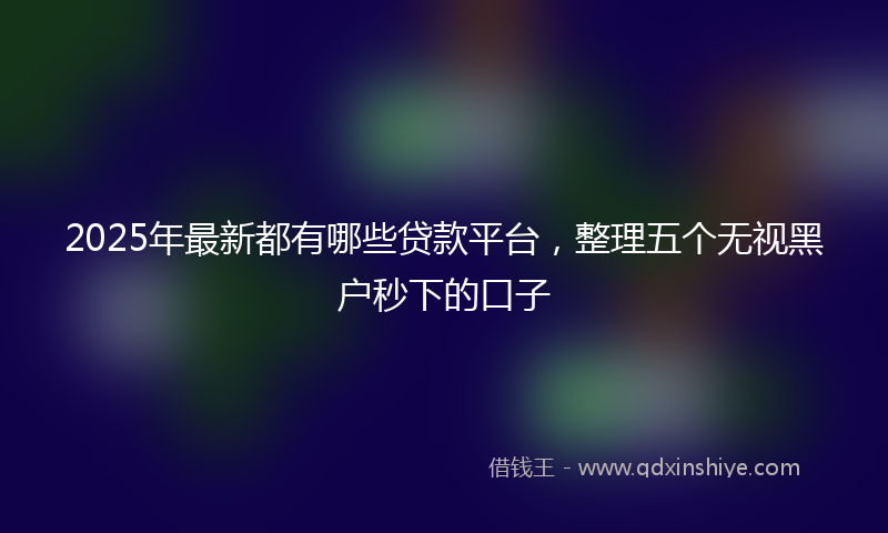 2025年最新都有哪些贷款平台，整理五个无视黑户秒下的口子