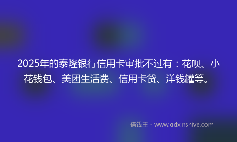 2025年的泰隆银行信用卡审批不过有：花呗、小花钱包、美团生活费、信用卡贷、洋钱罐等。