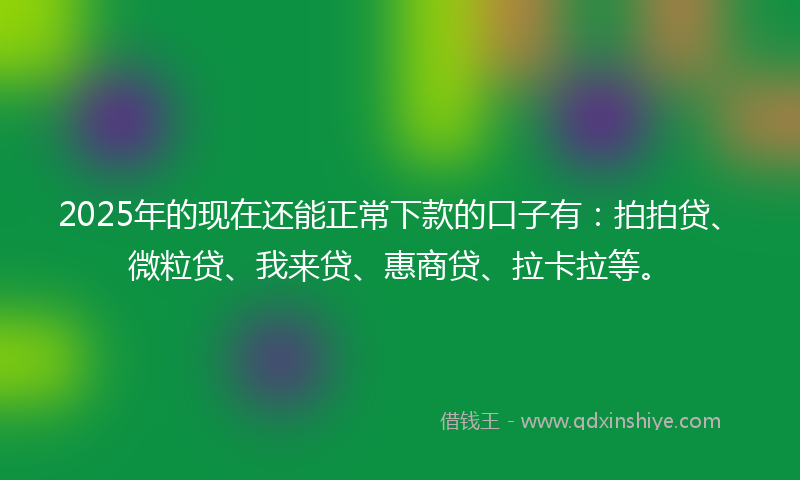 2025年的现在还能正常下款的口子有：拍拍贷、微粒贷、我来贷、惠商贷、拉卡拉等。