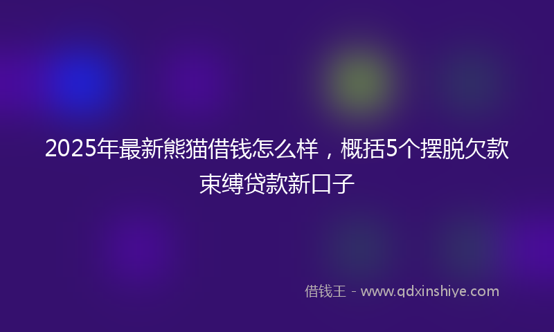 2025年最新熊猫借钱怎么样，概括5个摆脱欠款束缚贷款新口子