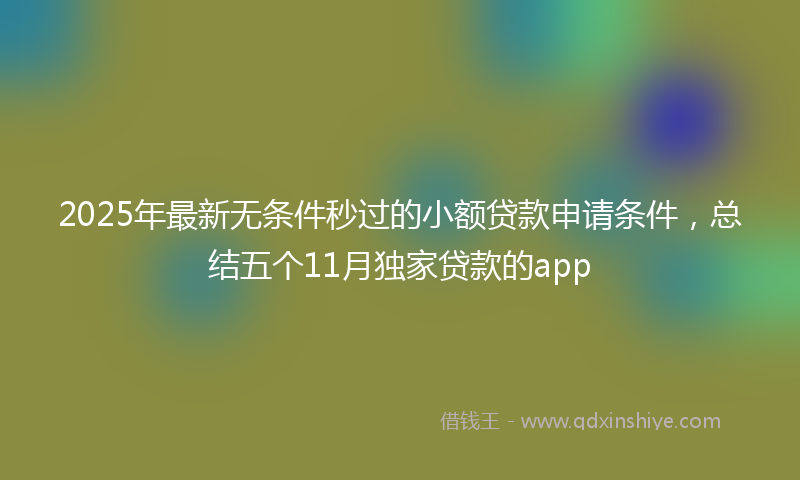 2025年最新无条件秒过的小额贷款申请条件，总结五个11月独家贷款的app