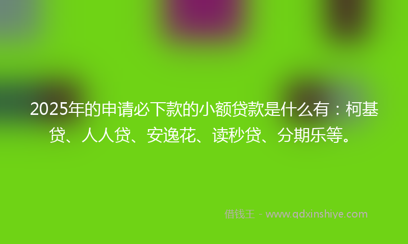 2025年的申请必下款的小额贷款是什么有：柯基贷、人人贷、安逸花、读秒贷、分期乐等。