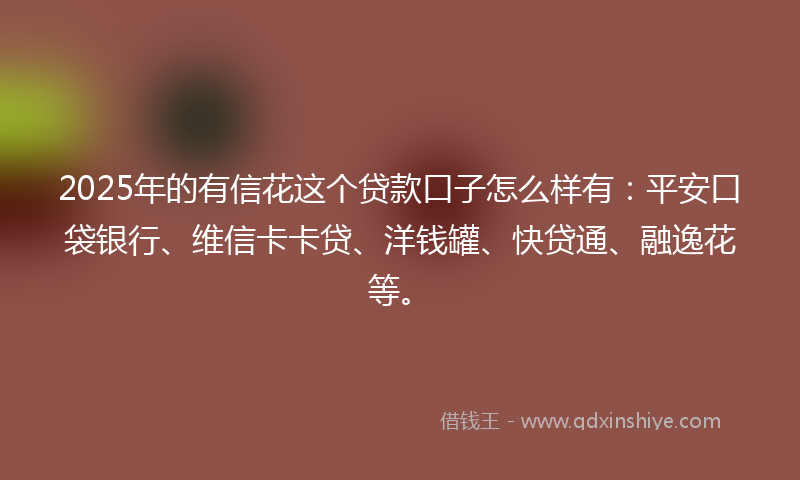 2025年的有信花这个贷款口子怎么样有：平安口袋银行、维信卡卡贷、洋钱罐、快贷通、融逸花等。