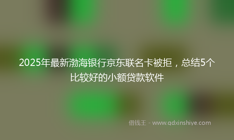 2025年最新渤海银行京东联名卡被拒，总结5个比较好的小额贷款软件