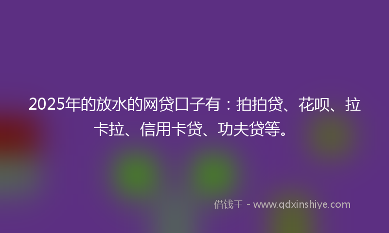 2025年的放水的网贷口子有：拍拍贷、花呗、拉卡拉、信用卡贷、功夫贷等。