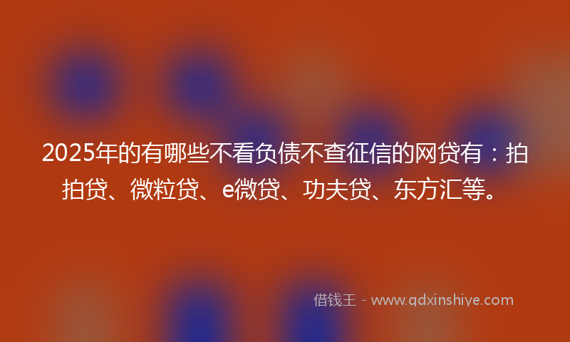 2025年的有哪些不看负债不查征信的网贷有：拍拍贷、微粒贷、e微贷、功夫贷、东方汇等。