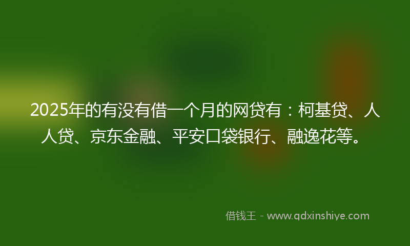 2025年的有没有借一个月的网贷有：柯基贷、人人贷、京东金融、平安口袋银行、融逸花等。
