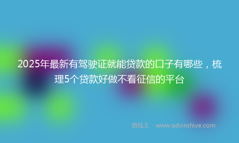 2025年最新有驾驶证就能贷款的口子有哪些，梳理5个贷款好做不看征信的平台