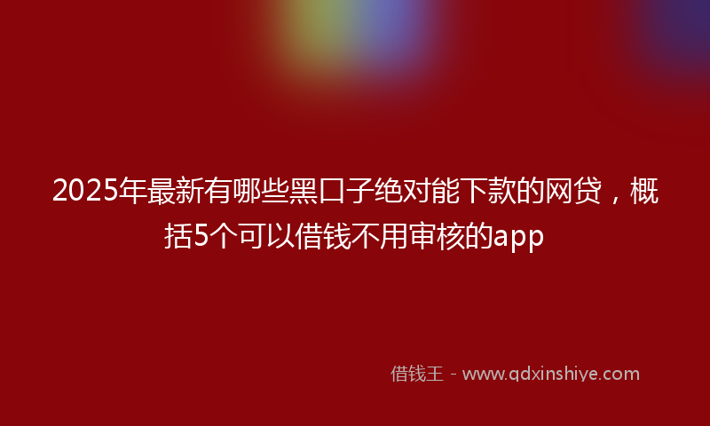 2025年最新有哪些黑口子绝对能下款的网贷，概括5个可以借钱不用审核的app