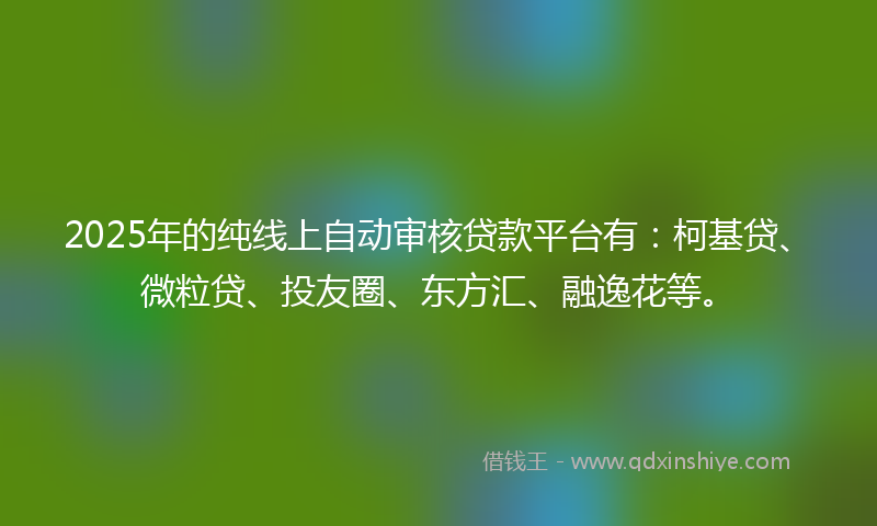 2025年的纯线上自动审核贷款平台有：柯基贷、微粒贷、投友圈、东方汇、融逸花等。