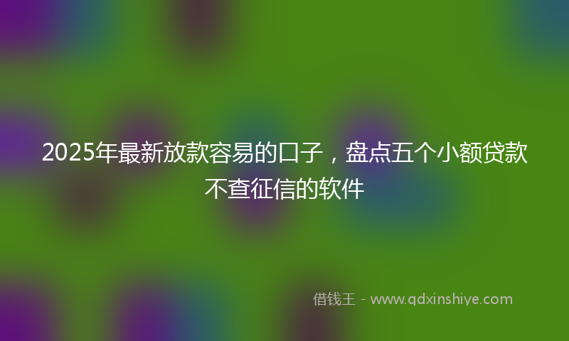 2025年最新放款容易的口子，盘点五个小额贷款不查征信的软件