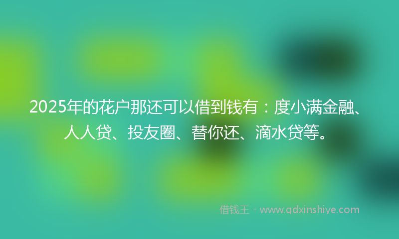 2025年的花户那还可以借到钱有：度小满金融、人人贷、投友圈、替你还、滴水贷等。