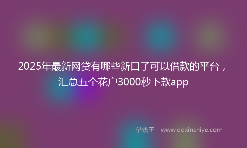 2025年最新网贷有哪些新口子可以借款的平台，汇总五个花户3000秒下款app