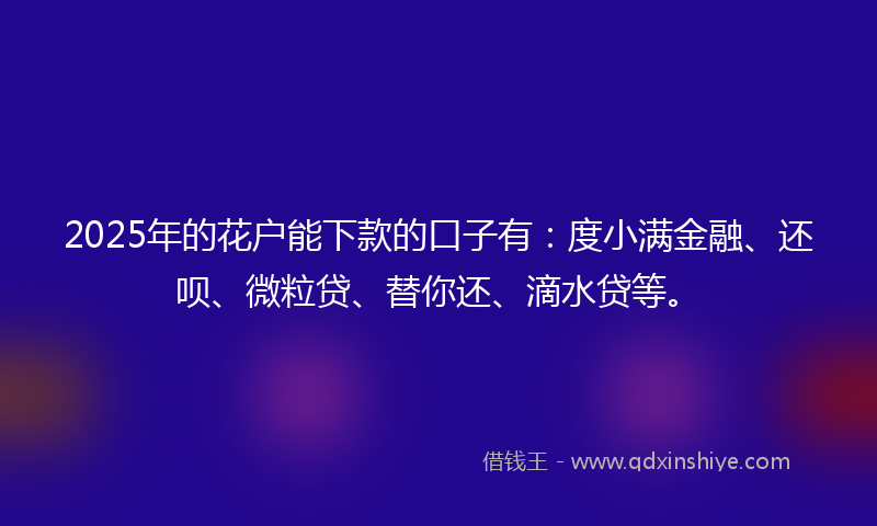 2025年的花户能下款的口子有：度小满金融、还呗、微粒贷、替你还、滴水贷等。