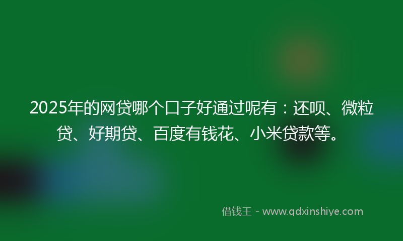 2025年的网贷哪个口子好通过呢有：还呗、微粒贷、好期贷、百度有钱花、小米贷款等。