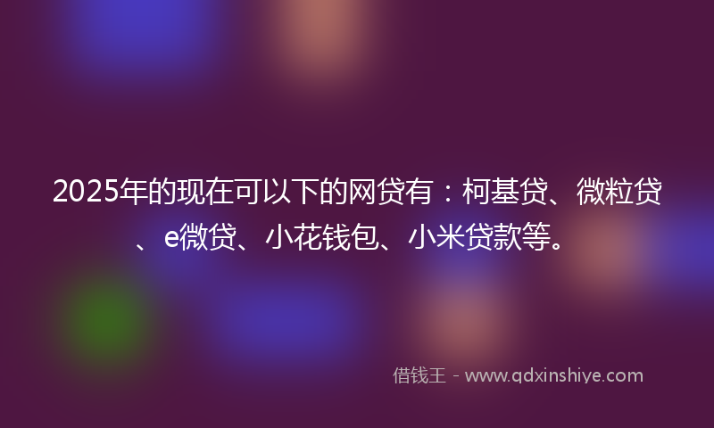 2025年的现在可以下的网贷有：柯基贷、微粒贷、e微贷、小花钱包、小米贷款等。