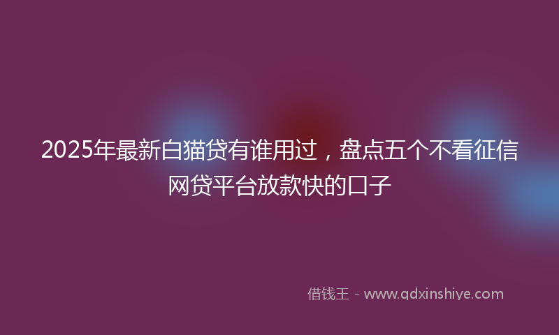 2025年最新白猫贷有谁用过，盘点五个不看征信网贷平台放款快的口子