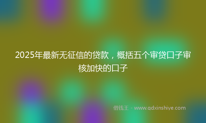 2025年最新无征信的贷款，概括五个审贷口子审核加快的口子