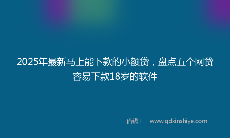 2025年最新马上能下款的小额贷，盘点五个网贷容易下款18岁的软件