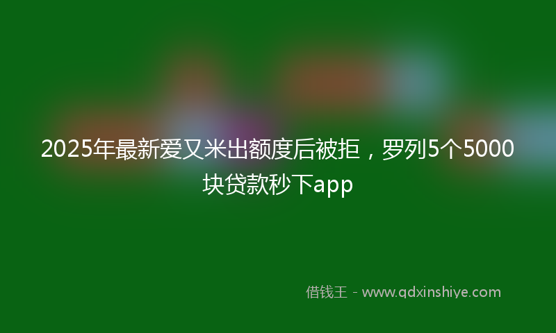 2025年最新爱又米出额度后被拒，罗列5个5000块贷款秒下app