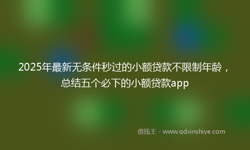 2025年最新无条件秒过的小额贷款不限制年龄，总结五个必下的小额贷款app