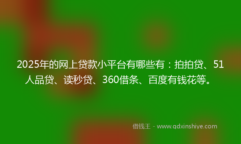 2025年的网上贷款小平台有哪些有：拍拍贷、51人品贷、读秒贷、360借条、百度有钱花等。