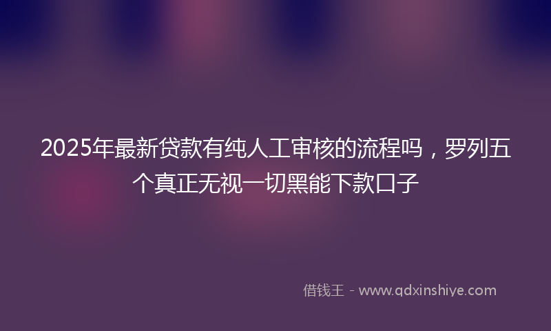 2025年最新贷款有纯人工审核的流程吗，罗列五个真正无视一切黑能下款口子