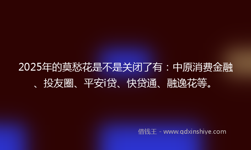 2025年的莫愁花是不是关闭了有：中原消费金融、投友圈、平安i贷、快贷通、融逸花等。