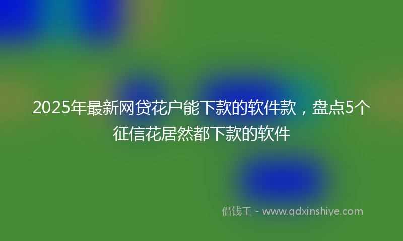2025年最新网贷花户能下款的软件款，盘点5个征信花居然都下款的软件
