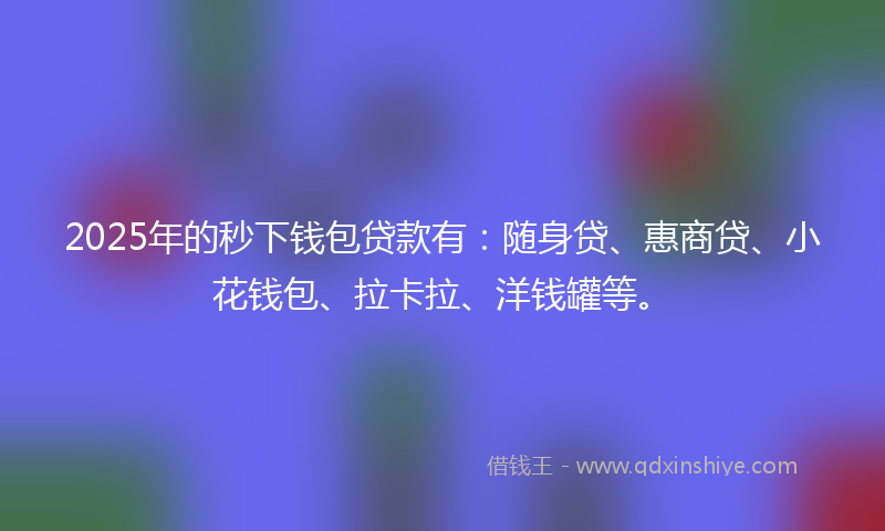 2025年的秒下钱包贷款有：随身贷、惠商贷、小花钱包、拉卡拉、洋钱罐等。