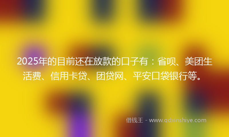 2025年的目前还在放款的口子有:省呗、美团生活费、信用卡贷、团贷网、平安口袋银行等。