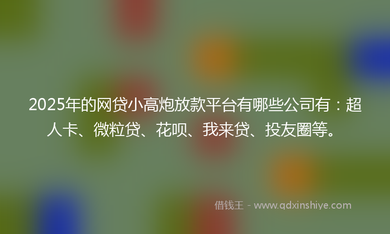 2025年的网贷小高炮放款平台有哪些公司有：超人卡、微粒贷、花呗、我来贷、投友圈等。