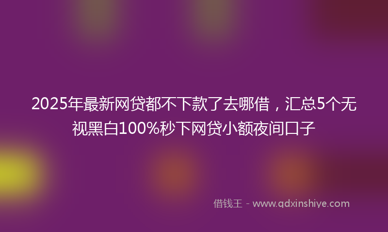 2025年最新网贷都不下款了去哪借，汇总5个无视黑白100%秒下网贷小额夜间口子