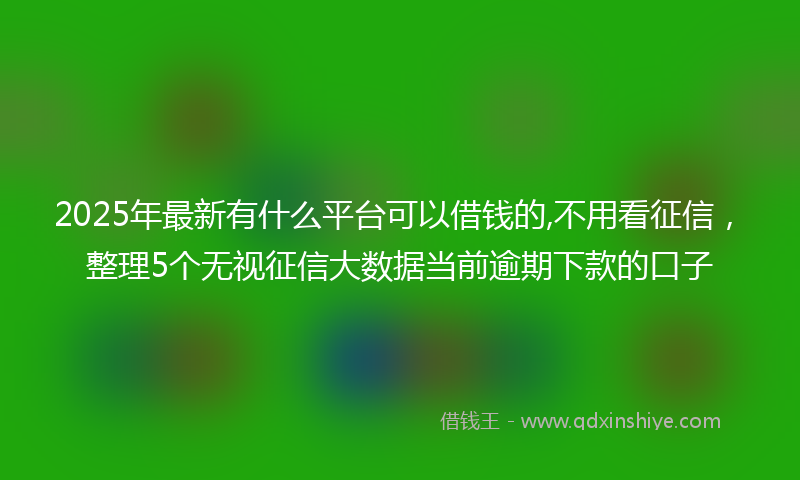2025年最新有什么平台可以借钱的,不用看征信，整理5个无视征信大数据当前逾期下款的口子