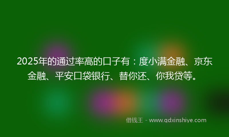 2025年的通过率高的口子有：度小满金融、京东金融、平安口袋银行、替你还、你我贷等。