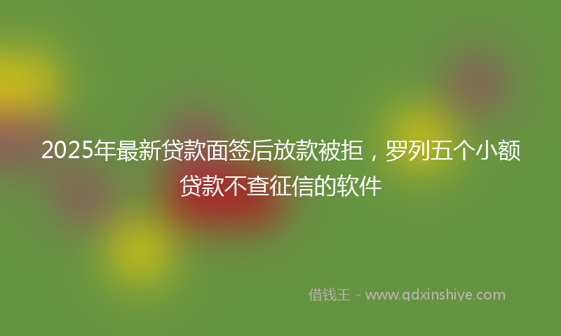 2025年最新贷款面签后放款被拒，罗列五个小额贷款不查征信的软件