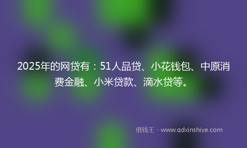 2025年的网贷有：51人品贷、小花钱包、中原消费金融、小米贷款、滴水贷等。
