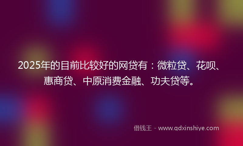 2025年的目前比较好的网贷有：微粒贷、花呗、惠商贷、中原消费金融、功夫贷等。