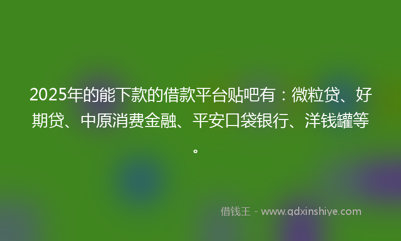 2025年的能下款的借款平台贴吧有：微粒贷、好期贷、中原消费金融、平安口袋银行、洋钱罐等。