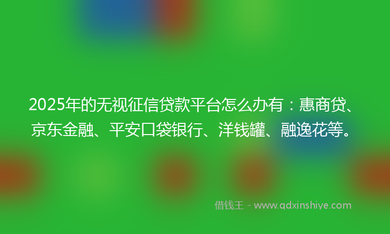 2025年的无视征信贷款平台怎么办有：惠商贷、京东金融、平安口袋银行、洋钱罐、融逸花等。
