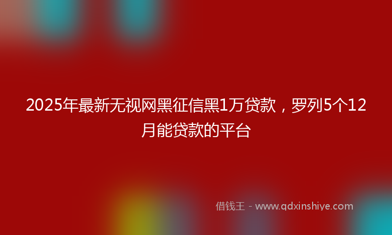 2025年最新无视网黑征信黑1万贷款，罗列5个12月能贷款的平台