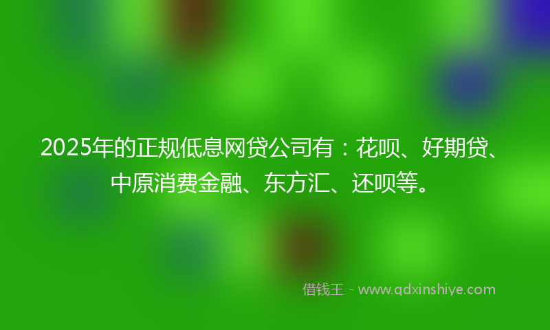 2025年的正规低息网贷公司有：花呗、好期贷、中原消费金融、东方汇、还呗等。